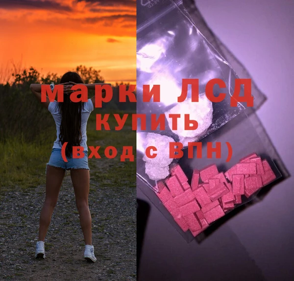 индика Бородино