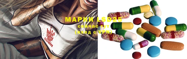 эйфоретик Кукмор