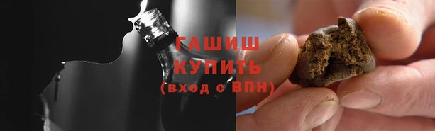 индика Бородино